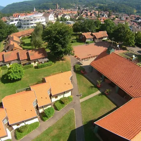 Apartamento La Petite Fecht