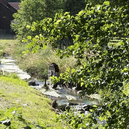La Petite Fecht Munster (Haut-Rhin)