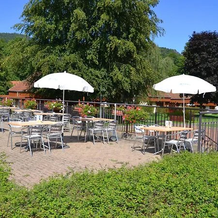 Apartamento La Petite Fecht